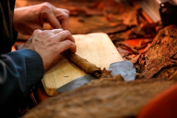 No existe una alternativa segura