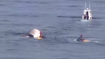 Una embarcación de patrulla blanca y una persona en una moto acuática oscura se acercan a un objeto blanco parcialmente sumergido en el mar