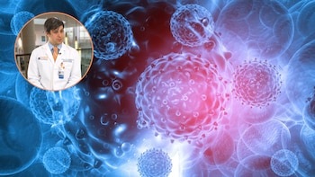 Los principales virus emergentes que