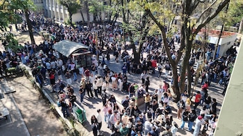 Simulacro realizado en las diversas