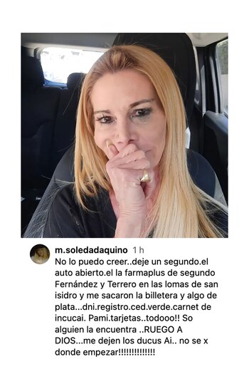 El posteo de Soledad Aquino para contar que sufrió un robo en San Isidro (Instagram)