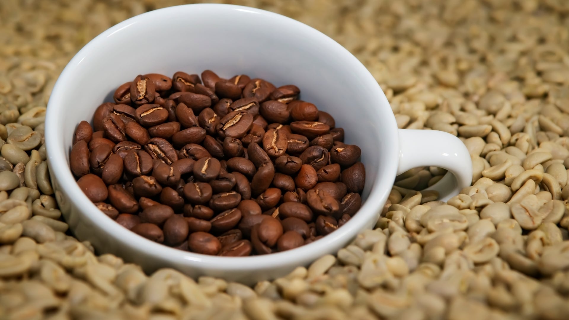 Durante la visita, los representantes peruanos revisaron el trabajo que realiza la empresa emiratí, que abarca desde la compra y clasificación del grano hasta su procesamiento, evaluación de calidad y comercialización. Foto: Camcafe