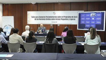 ONU da talleres sobre armas