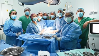 Un equipo de especialistas del