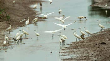 Argentina conserva su estatus sanitario