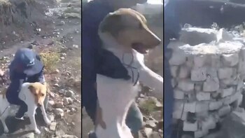 Sujeto en León lanza a