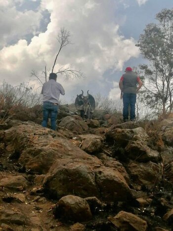 (Foto: Twitter/LordSalmon11)