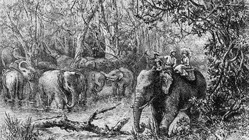 Ilustración del primer paseo de