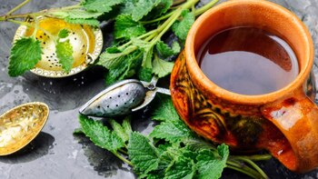 Melisa - planta medicinal - stress - ansiedad - nervios - Perú - salud - 7 julio