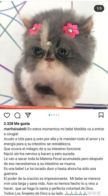 Post en Instagram de Martha