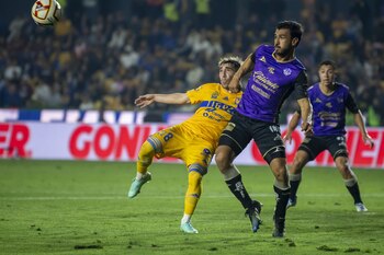 SAN NICOLÁS DE LOS GARZA,