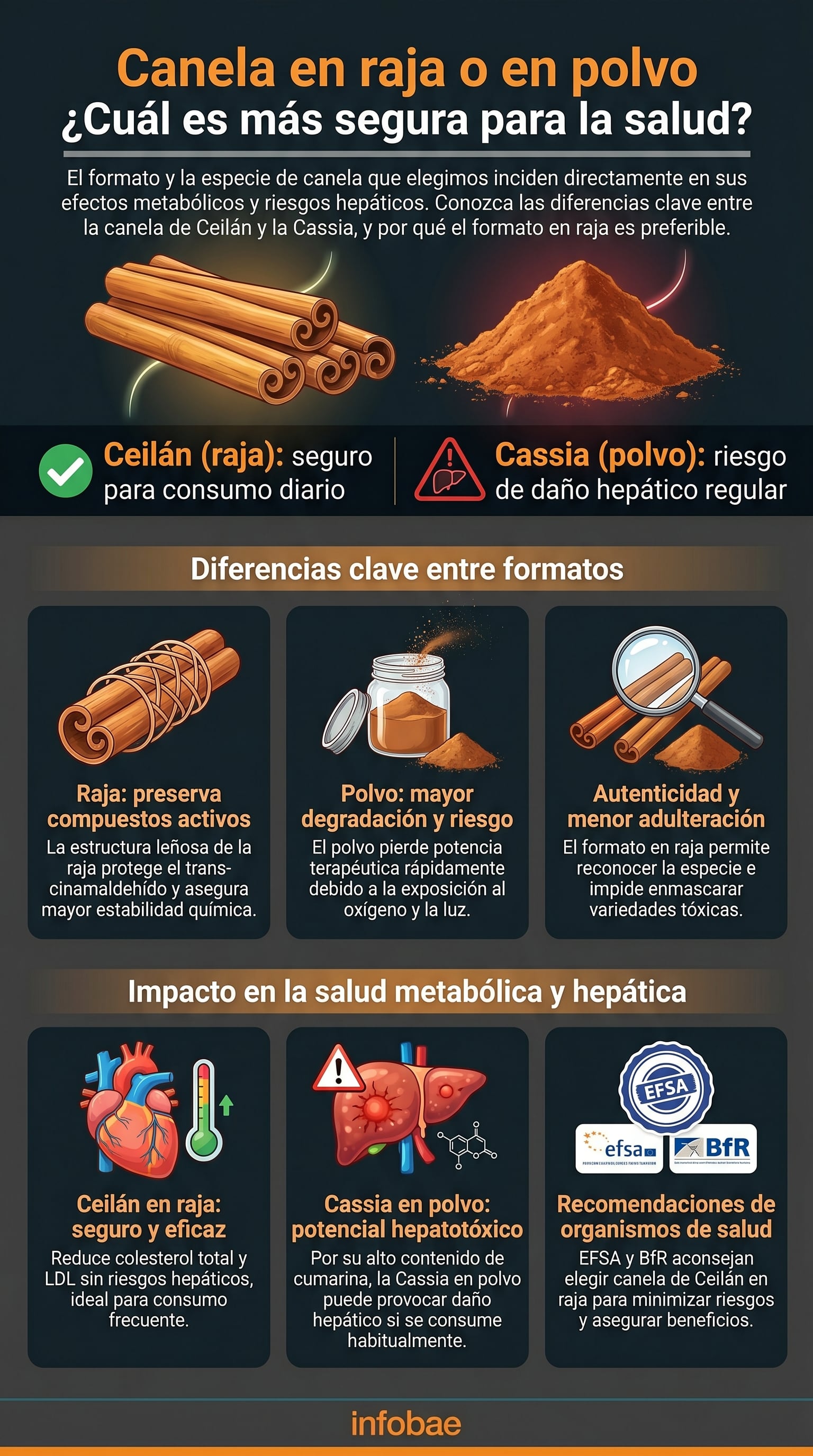 Una infografía detalla las diferencias entre la canela de Ceilán en raja y la Cassia en polvo, indicando sus impactos en la salud metabólica y hepática. (Imagen Ilustrativa Infobae)
