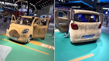 Su aspecto ha llamado la