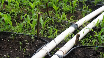 La rehabilitación de sistemas de riego permitirá definir obras prioritarias y garantizar una distribución más eficiente del agua entre productores agrícolas..