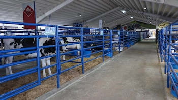 Actividades que fusionan tradición y