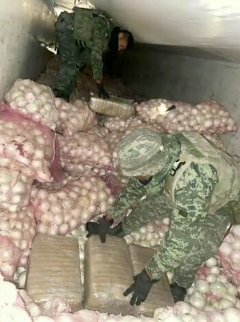 Un tráiler transportaba marihuana escondida