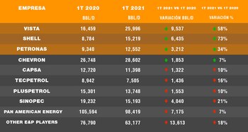 Empresas en el yacimiento