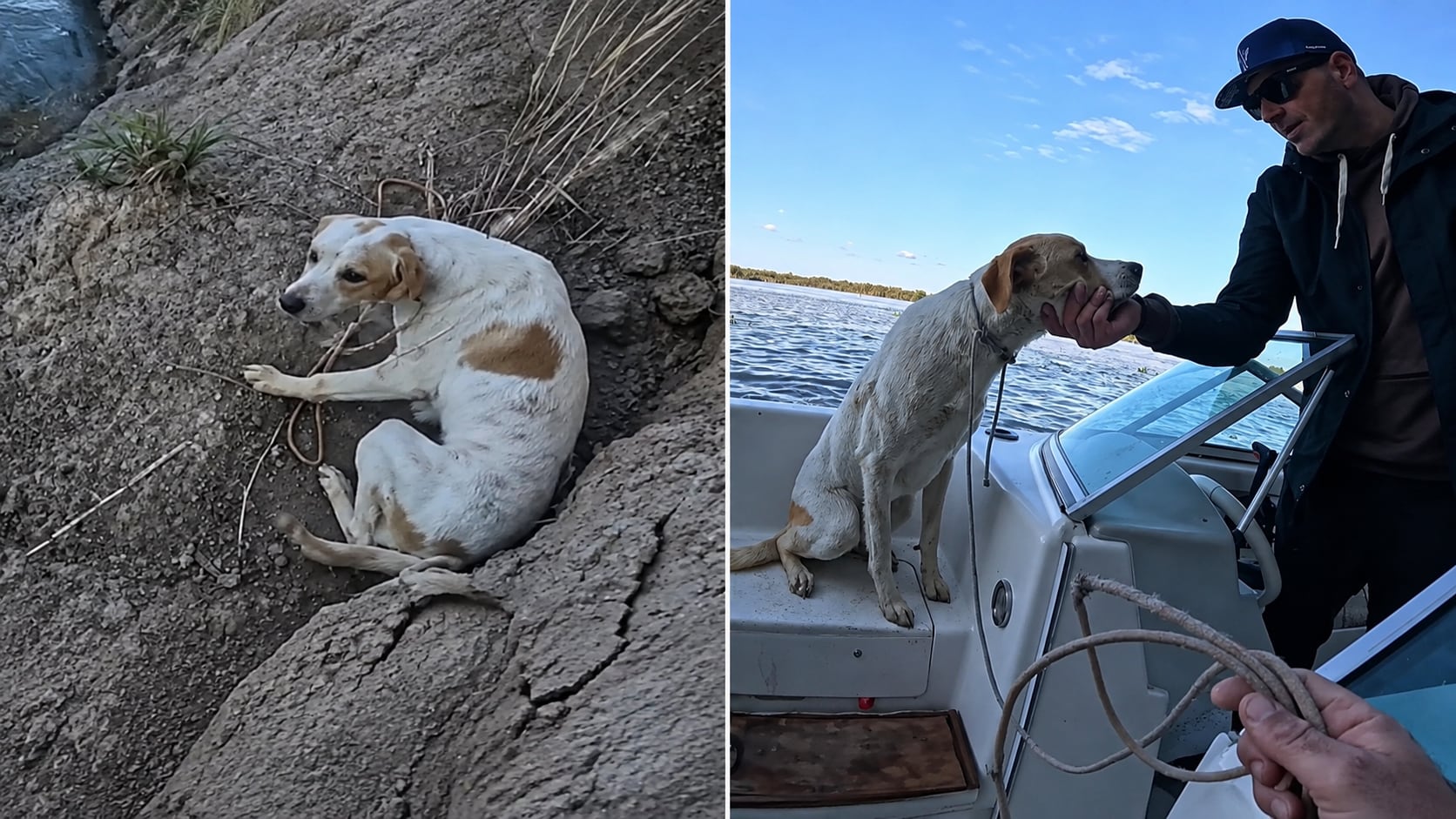 "Lo tiraron ahí": pescadores hallaron un perro atado en una barranca y lo rescataron en plena travesía