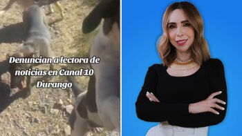 Hasta el momento, la conductora