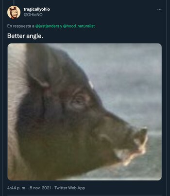 Varios internautas destacaron que la