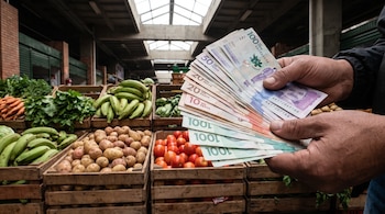 Manos de una persona sosteniendo billetes de pesos colombianos frente a cajas de madera con papas, tomates, plátanos y hortalizas.