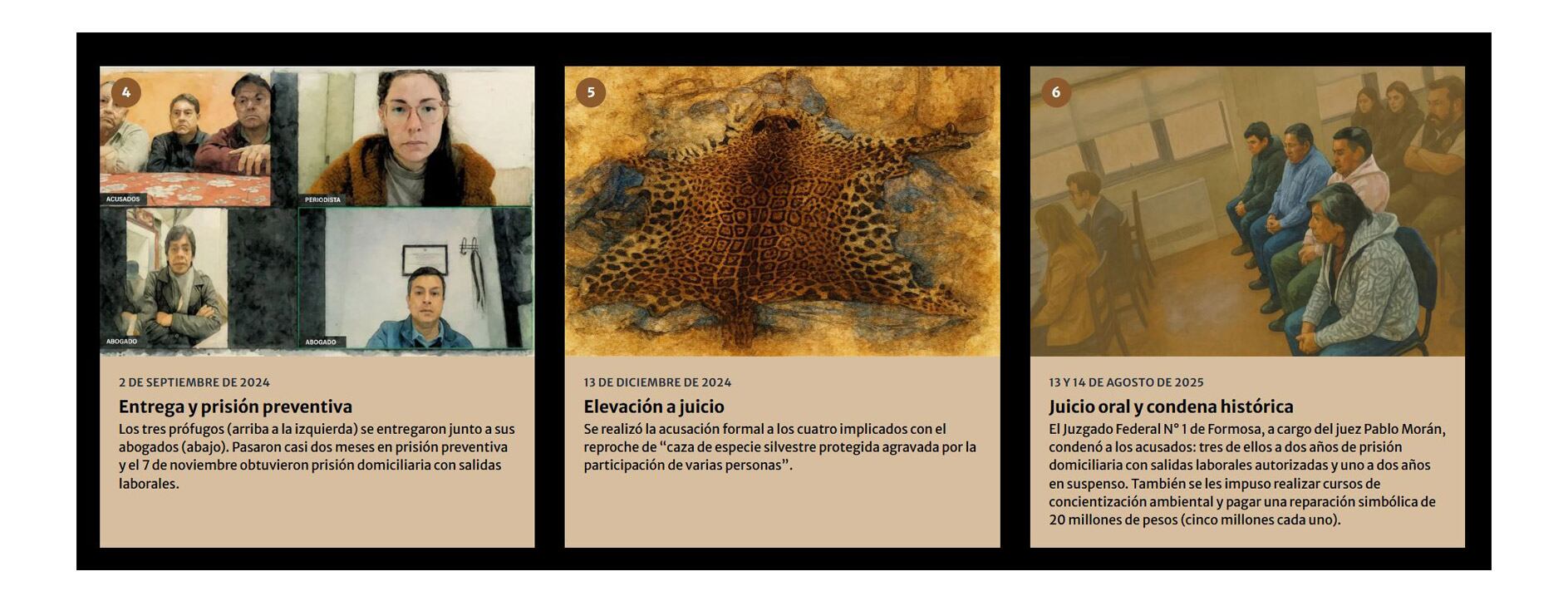 “Nunca supimos que el yaguareté era tan protegido. No teníamos idea… Pero tuvimos que decidir: era la vida del bicho o la nuestra”, dijo uno de los condenados