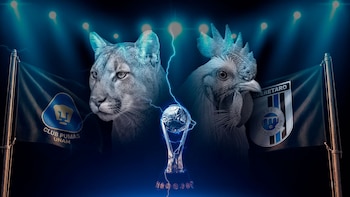 Pumas vs Querétaro: cuándo y dónde ver EN VIVO el encuentro de la jornada 4 en la Liga Mx