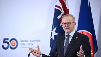 Australia pide a Israel un proceso "claro" para esclarecer muerte de cooperantes en Gaza