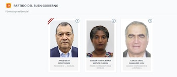Lista de vicepresidentes en Perú 2026: estos son los acompañantes de cada candidato: Captura: ONPE.