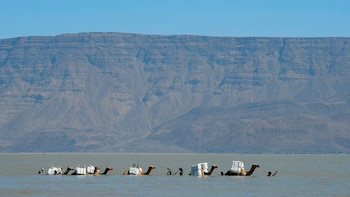 Día Mundial del Ambiente: lo