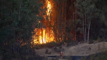 La EMA comunica el desalojo preventivo de 340 personas ante la evolución del incendio de Niebla