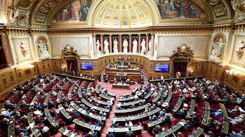 El Senado de Francia aprueba una ley contra los disturbios y saqueos que prevé multas de hasta 10.000 euros