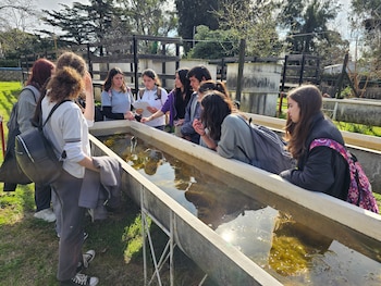 El proyecto complementa, pero no reemplaza, las medidas tradicionales de prevención del dengue