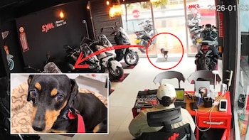 Buscan a la familia o