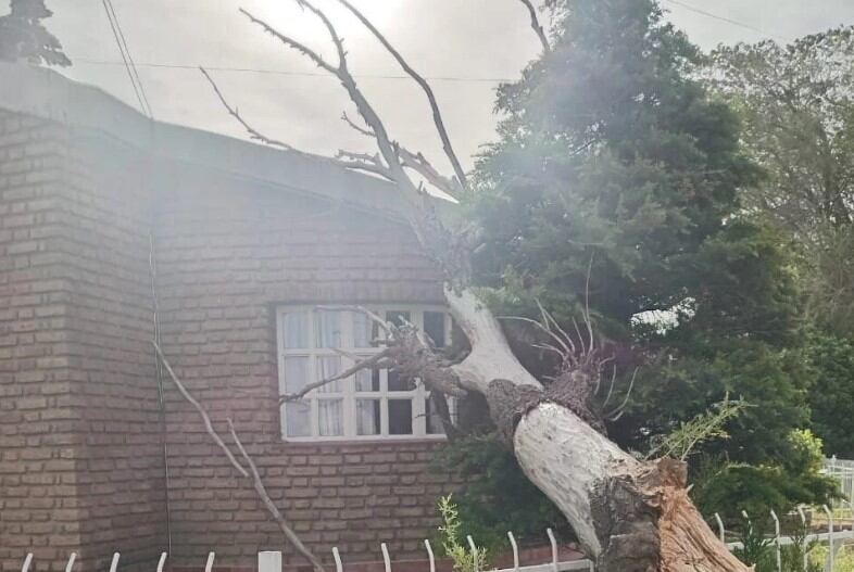 Algunos de los destrozos que se generaron por los fuertes vientos en la Patagonia