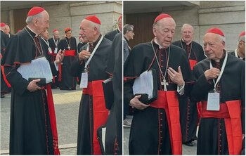 El cardenal peruano, sancionado por