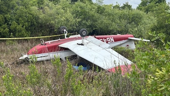 Anders Brock-Utne, de 19 años y residente de Dallas, Texas, sobrevivió después que su avión tuviera una falla en el motor, según confirmó el sheriff del condado de Martin, John Budensiek. Foto: wptv.com