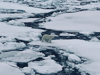 Tras el rescate, así se
