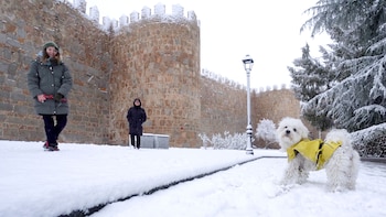 Última hora de la borrasca