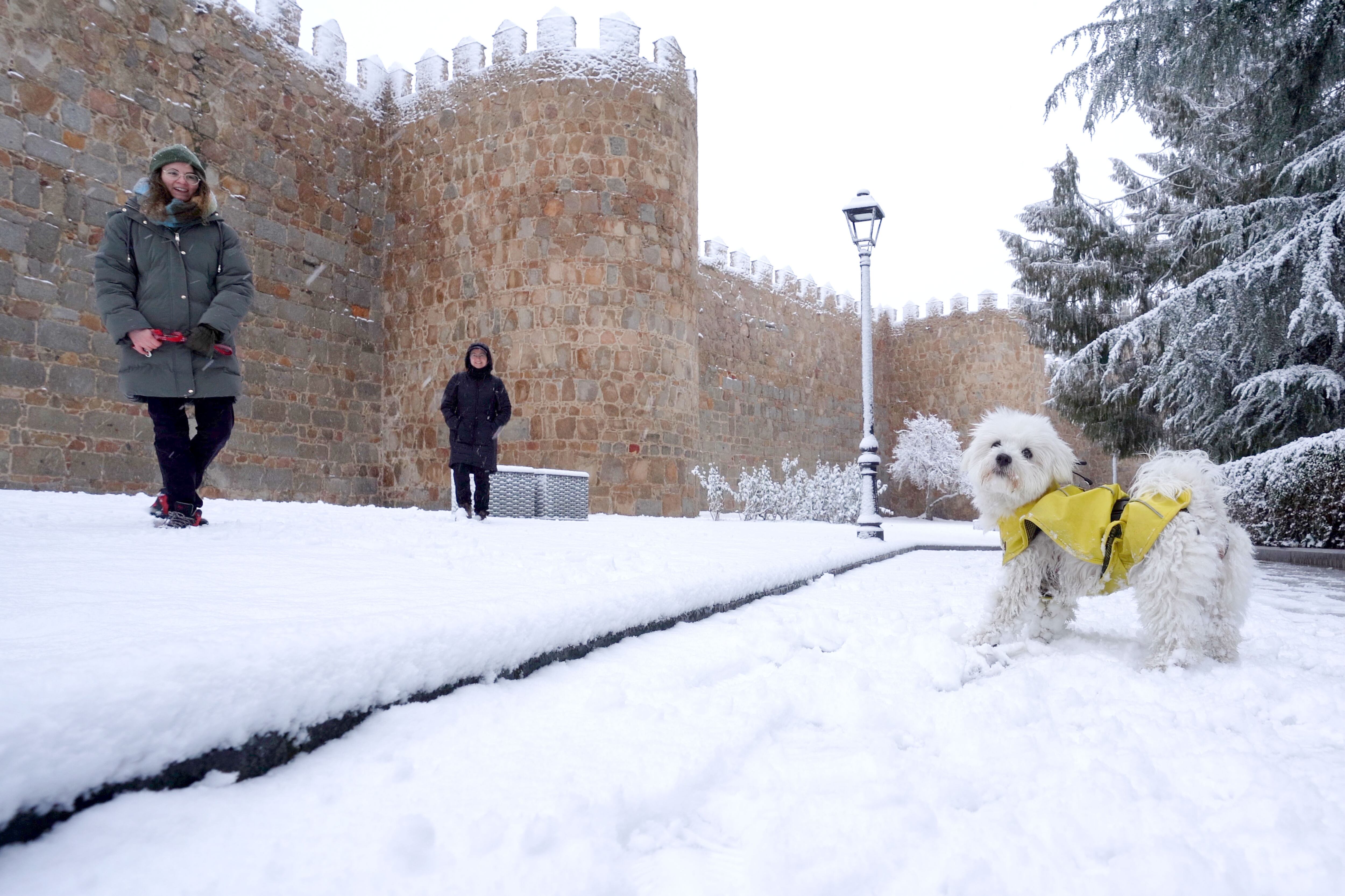 Dos personas pasean a su perro a los pies de la Muralla de Ávila, que está nevada, este miércoles. (Raúl Sanchidrián/EFE)