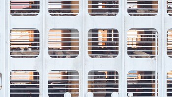 Australia aprueba el fin a