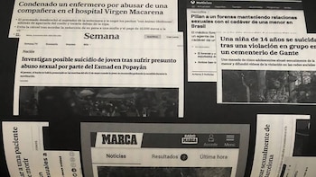 Cómo es la novela en