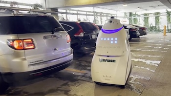 Robot DubBot capturas