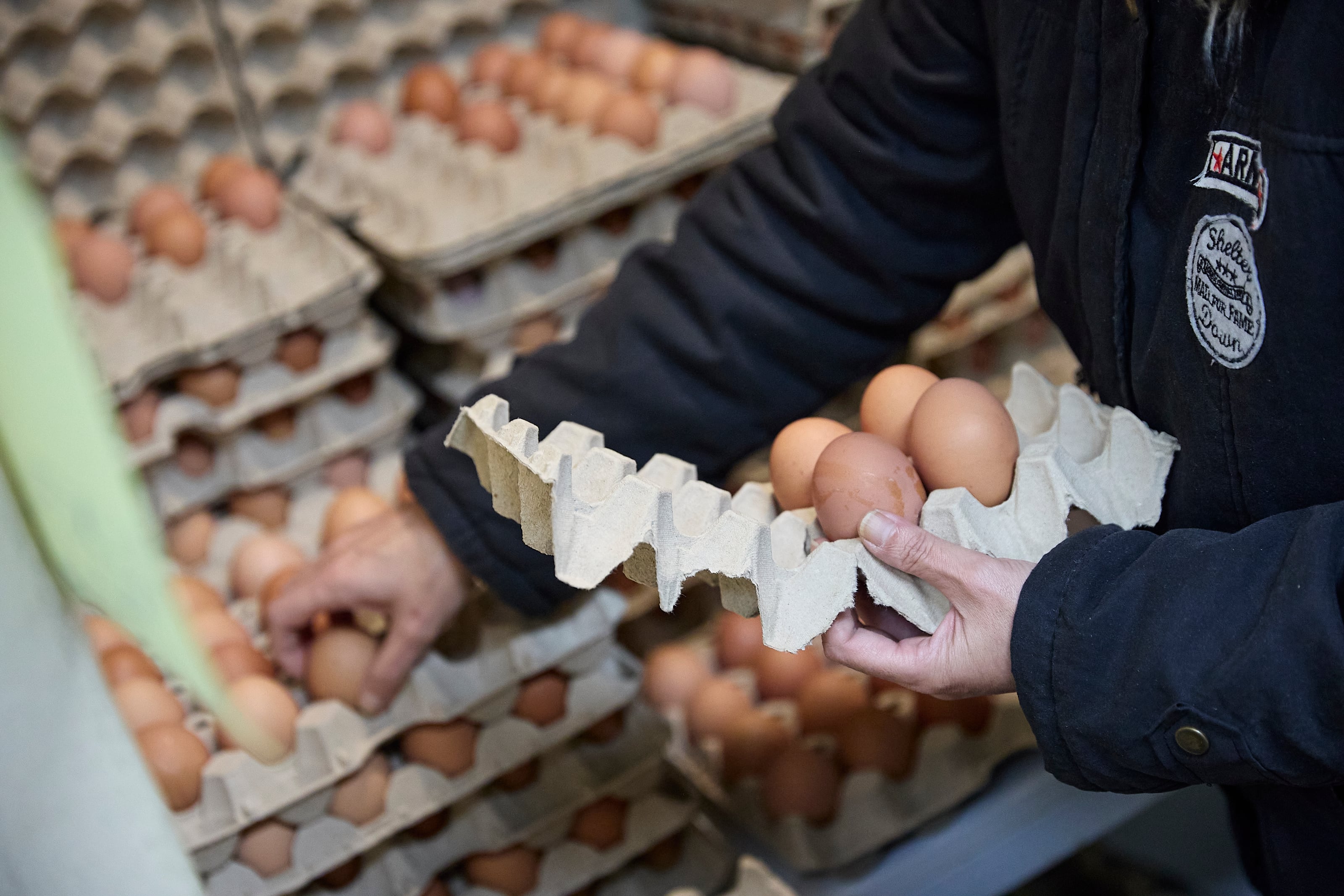 La docena de huevos bajó 2,4% en enero, según el Indec (Europa Press)