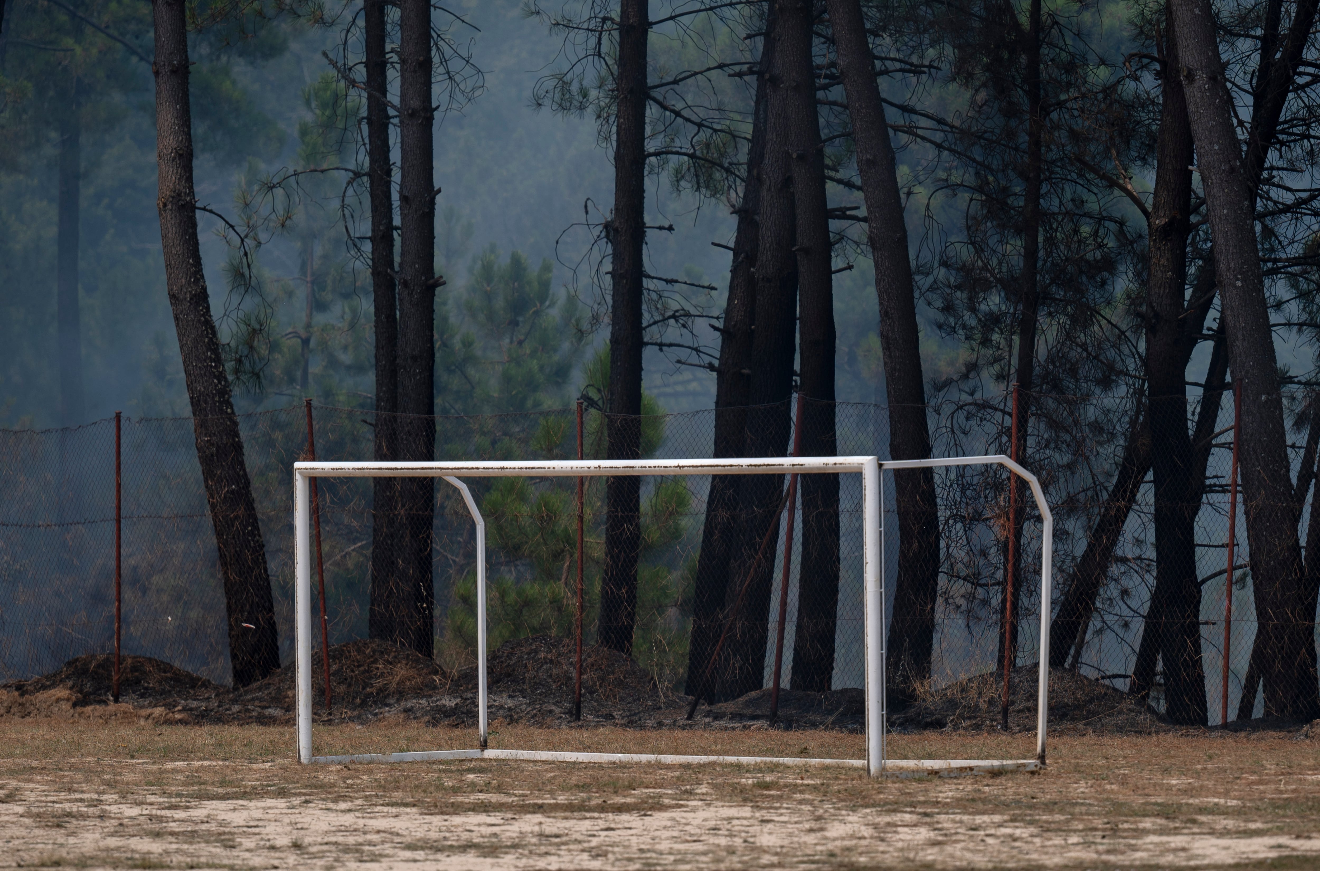 Zonas calcinadas tras el paso del incendio forestal, a 27 de julio de 2026, en Casillas, Ávila, Castilla y León (España). (Alberto Ortega/Europa Press)