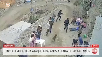 Vista aérea de dos hombres armados atacando a un grupo de personas en una zona rural. Varios individuos yacen en el suelo y otros corren. Un perro pequeño se observa cerca.