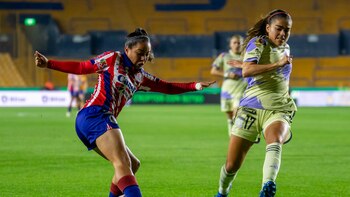 El campeón Tigres de la