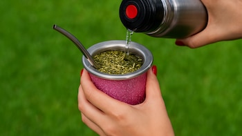Yerba mate: cuáles son las diferencias entre las variedades con palo, sin palo, orgánicas y artesanales