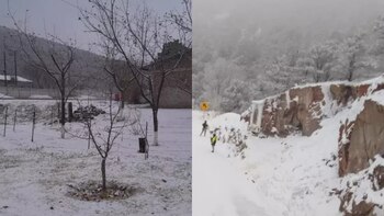 ¡Bajo la nieve! Así luce