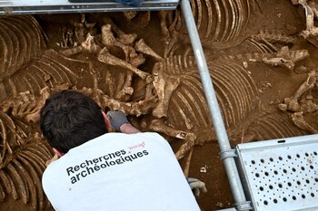 En la excavación, que abarca